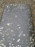 image of grave number 517450
